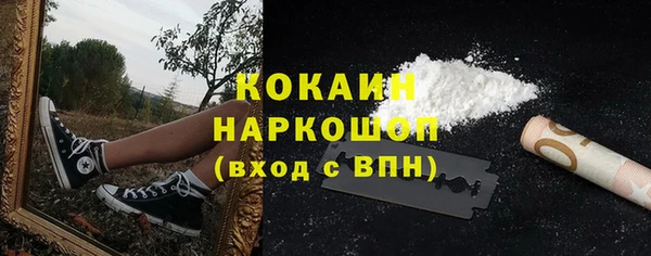 таблы Бородино
